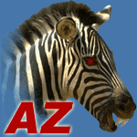 Angryziber Software