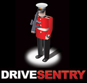 DriveSentry Inc