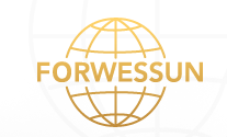 Forwessun Test Systems Ltd.