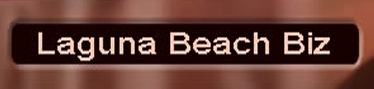 Laguna Beach Biz Software