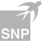 SNP Schneider-Neureither & Partner AG