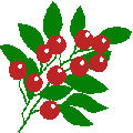 Tenberry Software