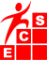 e-Centric Consultancy Services Pvt. Ltd.