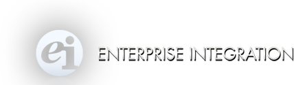 Enterprise Integration