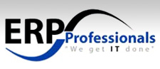 ERP Professionals, Inc.