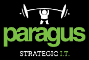 Paragus Strategic IT