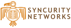 Syncurity Networks, LLC.